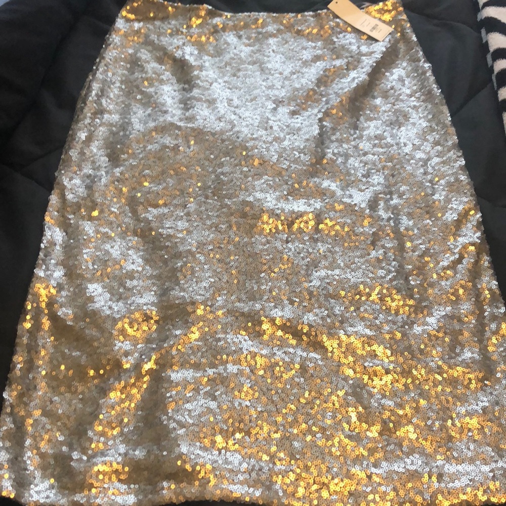Silver Sequin Skirt
